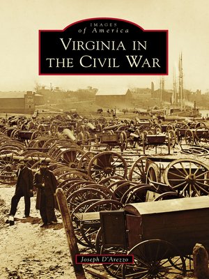 cover image of Virginia in the Civil War